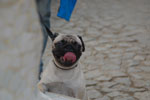 2013-10-18_17-56-31_DSC_6763.jpg