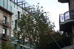 2013-10-18_18-35-06_DSC_6796.jpg