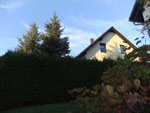 2013-10-19_17-32-15_DSCF8717.jpg