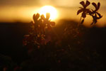 2013-10-23_08-03-08_2013-10-23_08-03-08_DSC_6988.jpg