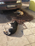2013-11-06_13-54-17_2013-11-06-13.54.17.jpg