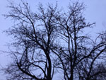 2013-11-09_17-43-53_2013-11-09-17.43.53.jpg
