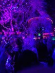 2013-12-01_02-08-26_2013-12-01-02.08.26-2.jpg