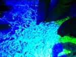 2013-12-01_02-12-56_2013-12-01-02.12.56.jpg