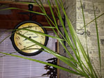2013-12-02_08-15-58_2013-12-02-08.15.58.jpg