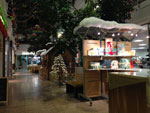 2013-12-04_19-42-37_2013-12-04-19.42.37.jpg