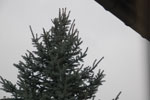 2013-12-06_14-51-32_DSC_7079.jpg