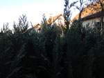 2013-12-12_15-08-44_2013-12-12-15.08.44.jpg