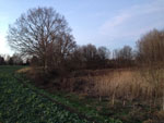 2013-12-16_16-29-57_2013-12-16-16.29.57.jpg