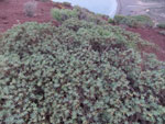 2013-12-31_18-11-20_DSCF9258.jpg
