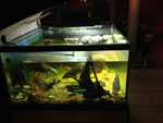 2014-01-01_21-00-02_2014-01-01-21.00.02.jpg