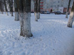 2014-01-20_14-41-50_DSCF0106.jpg