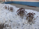 2014-02-06_15-55-08_DSCF0218.jpg