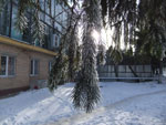 Photos