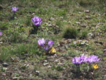 2014-03-10_12-13-33_DSCF1536.jpg