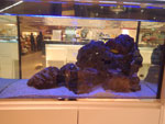 2014-03-20_20-24-51_IMGP0155.jpg