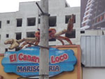 Photos