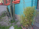 2014-04-01_15-37-43_IMGP0579.jpg