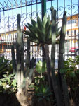 2014-04-01_15-39-51_IMGP0597.jpg