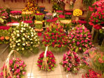 2014-04-09_20-00-53_IMGP0958.jpg