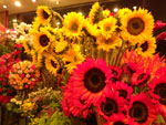 2014-04-09_20-00-59_IMGP0959.jpg