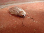 2014-04-12_13-08-14_IMGP1277.jpg