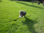 Photos