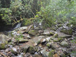 2014-05-29_10-52-38_IMGP4747.jpg