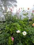 2014-05-29_13-08-44_IMGP4846.jpg