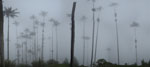 2014-05-29_13-38-34_IMGP4861-pan.jpg