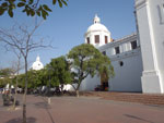Photos