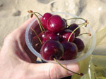 Photos