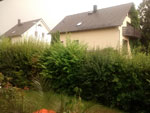 2014-07-11_16-29-39_2014-07-11-16.29.39.jpg