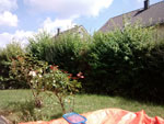 Photos