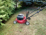 Photos