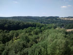 2014-07-18_11-17-01_2014-07-18-11.17.01.jpg