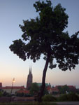 2014-07-19_21-02-07_IMGP7622.jpg