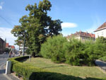 2014-07-20_17-56-37_IMGP7693.jpg