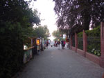 2014-07-22_21-00-55_IMGP7949.jpg