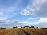Photos