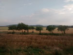2014-08-07_18-35-15_2014-08-07-18.35.15.jpg