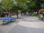 2014-08-09_18-59-23_IMGP9554.jpg