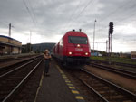 Photos