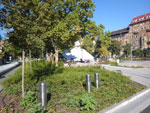2014-08-18_08-48-09_IMGP0509.jpg