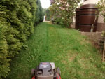 Photos