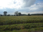 2014-08-30_16-39-06_IMGP0588.jpg