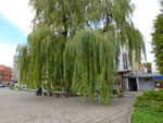 2014-09-02_16-40-02_S0543198.jpg