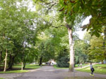 2014-09-02_17-58-05_S0095011.jpg