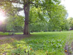 2014-09-02_18-03-09_S0215031.jpg