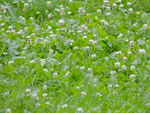 2014-09-02_18-05-10_S0255035.jpg